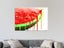 Pop Art - Red - Green - Watermelon - Fruit - Graffiti - Wall Art - Art Prints Carousel 2