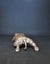 "Staffie Yoga" Mini Bronze Staffordshire Terrier Dog Sculptures by NZ Artist Carousel 3