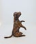 "Staffie Yoga" Mini Bronze Staffordshire Terrier Dog Sculptures by NZ Artist Carousel 6