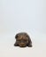 "Staffie Yoga" Mini Bronze Staffordshire Terrier Dog Sculptures by NZ Artist Carousel 8
