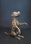 "Staffie Yoga" Mini Bronze Staffordshire Terrier Dog Sculptures by NZ Artist Carousel 10