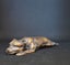 "Staffie Yoga" Mini Bronze Staffordshire Terrier Dog Sculptures by NZ Artist Carousel 11