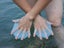 Silicone Hand Fins Swimming Flippers Finger Palm Swim Webbed Paddle Gloves L Carousel 4