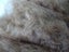 ALPACA FIBRE Carousel 1