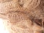 ALPACA FIBRE Carousel 1