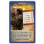 Top Trumps Harry Potter & The Half-Blood Prince Card Game 6y+ Family Kids Toy Carousel 6