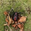 Infrared Remote Control Spider Animal Toy Prank Insects Joke Scary Trick Toys Carousel 4