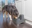 DRINKWELL PET FOUNTAIN 7.5 LITRES for DOGS Carousel 3