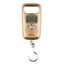 Pocket Portable Mini 50kg LCD Digital Hanging Luggage Weight Hook Scale Carousel 2