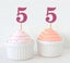 Anniversary & Birthday Party Number 5 Year Cupcake Topper Decoration-Plum Carousel 1