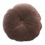 Home Decor Throw Pillow Brown Decorative Cushion Cover Velvet Case 15" Carousel 1