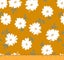 Loading Image 1 of 3