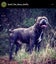 STAFFORDSHIRE BULL TERRIER PEDIGREE STUD DOG Carousel 9