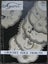 MYART CROCHET DOILY EDGE DESIGNS PATTERN BOOK Carousel 5