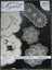 MYART CROCHET DOILY EDGE DESIGNS PATTERN BOOK Carousel 6