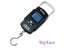 50KG/110LB 10g Electronic Portable Digital Scale Hanging Hook Fishing Travel Carousel 1