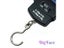 50KG/110LB 10g Electronic Portable Digital Scale Hanging Hook Fishing Travel Carousel 4