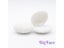 1pcs 5Colors Pink Shell Velvet Jewelry Display Box For Earrings Necklace Carousel 4