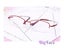 Classic Myopia Glasses Nearsighted Glasses Prescription Glasses Women Eyewear Carousel 4