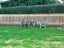 SMART FENCING LTD - Fencing and Deck Builders Carousel 6