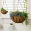 Planter Basket New Carousel 5