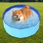 Pet Bathing Pool Outdoor Foldable Tub for Pets Dogs Cats Carousel 5