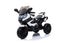 Kids Ride On Motorcycle Electric Battery powered New Arrival Carousel 3