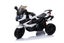 Kids Ride On Motorcycle Electric Battery powered New Arrival Carousel 19