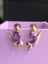 9CT Yellow Gold Amethyst Earrings. 2.9gram $1 Reserve Carousel 8