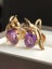 9CT Yellow Gold Amethyst Earrings. 2.9gram $1 Reserve Carousel 3