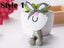 5PCS Cute Cartoon Toothbrush Holder with Suction Mount Carousel 3