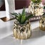 Brand New Artificial Plants Succulent Decor Golden Ceramic Pot *Sale NOW* Carousel 3