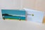 Kiwi Art blank all occasion cards by MAG. Carousel 3