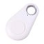 1PC Bluetooth Tracker GPS Locator Key Wallet Cat Dog Alarm Finder Random Colors Carousel 3