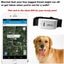QI Global Locator Real Time Pet GPS Tracker For Pet Dog/Cat GPS Collar Tracking Carousel 6