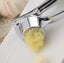 Garlic Press Crusher Carousel 2