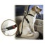 Dog Pet Adjustable Safety Seat For Car Belt Carousel 1