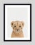 Baby Lion Peekaboo Art Print Carousel 5