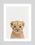 Baby Lion Peekaboo Art Print Carousel 1