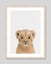 Baby Lion Peekaboo Art Print Carousel 7