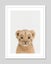 Baby Lion Peekaboo Art Print Carousel 6