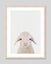 Baby Lamb Peekaboo Art Print Carousel 6
