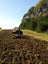 Ag Contracting- Balage, Mulching, Under Sowing. Carousel 7