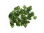 Artificial Vine Plant Leaves For Terrarium Decoration With Reptile Lizards Carousel 3