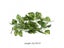 Artificial Vine Plant Leaves For Terrarium Decoration With Reptile Lizards Carousel 4