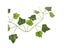 Artificial Vine Plant Leaves For Terrarium Decoration With Reptile Lizards Carousel 6