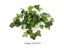 Artificial Vine Plant Leaves For Terrarium Decoration With Reptile Lizards Carousel 7