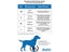 Dog Collar HALTI Dog Walking Collar Blue - Small Carousel 3