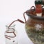 4Pcs/Set Plant Water Dripper Dispenser Garden Automatic Water Flow Droppers Wate Carousel 10