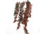 1PC 50cm Reptile Habitat Vivarium Decor With Artificial Vine Carousel 4
